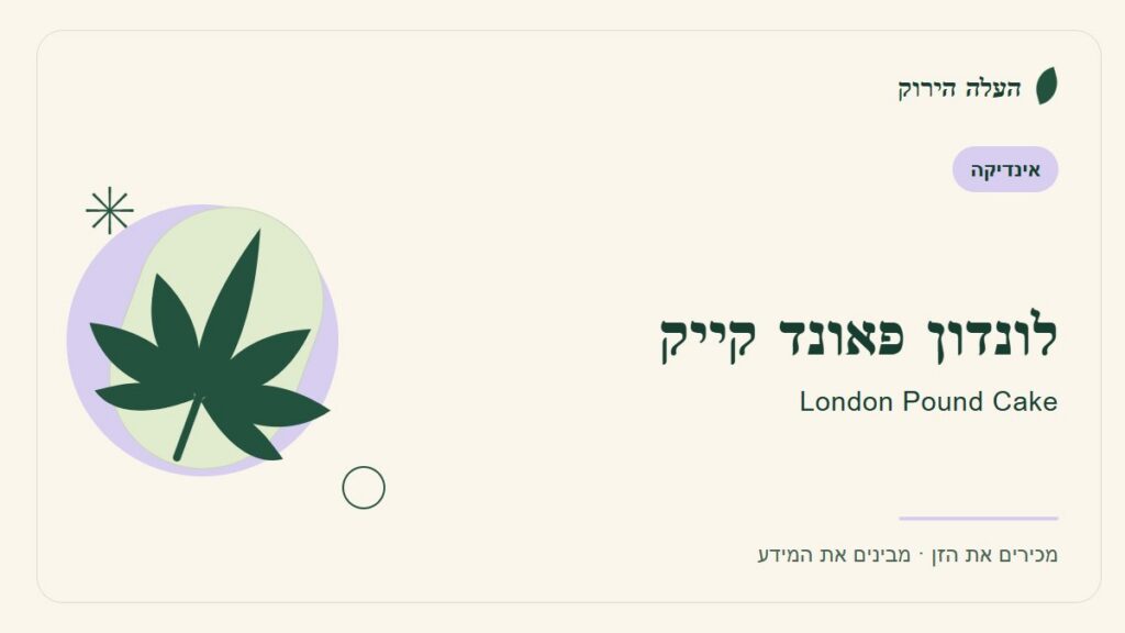 איור לכתבה: לונדון פאונד קייק: מדריך ראשון לשם, לרקע ולתיאור הזן