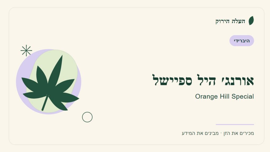 איור לכתבה: אורנג׳ היל ספיישל: מדריך ראשון לשם, לרקע ולתיאור הזן