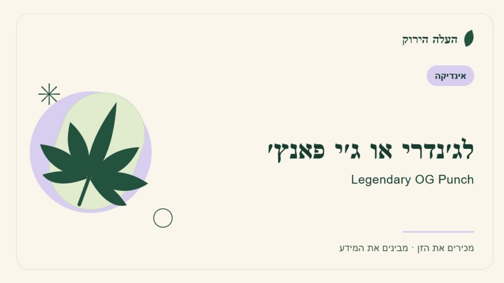 איור לכתבה: לג׳נדרי או ג׳י פאנץ׳: מדריך ראשון לשם, לרקע ולתיאור הזן
