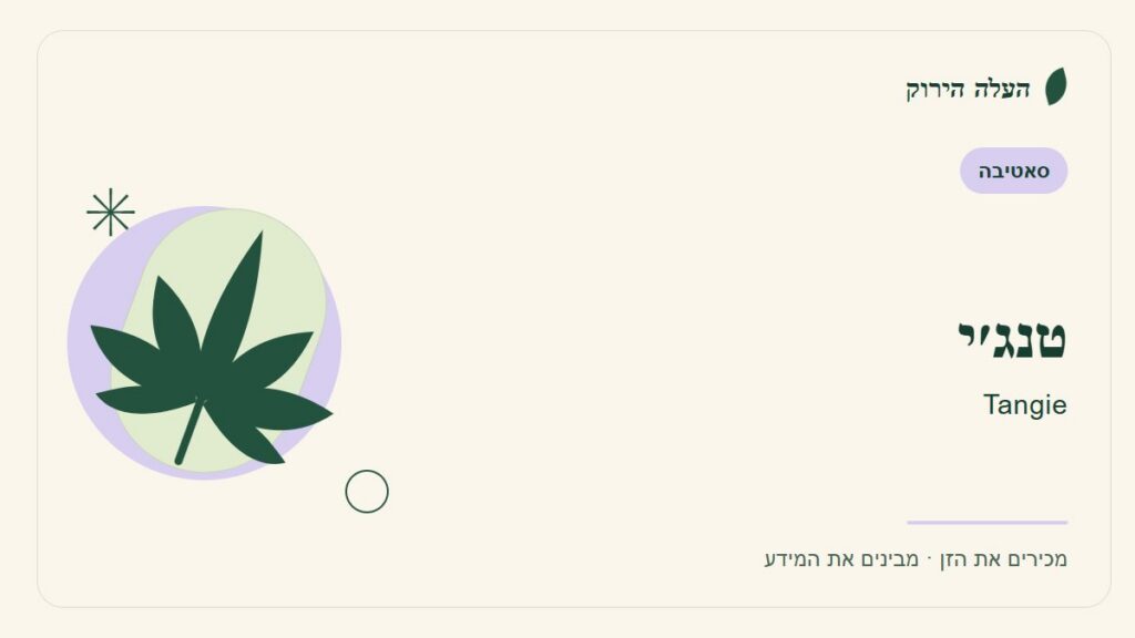 איור לכתבה: טנג׳י: מדריך ראשון לשם, לרקע ולתיאור הזן