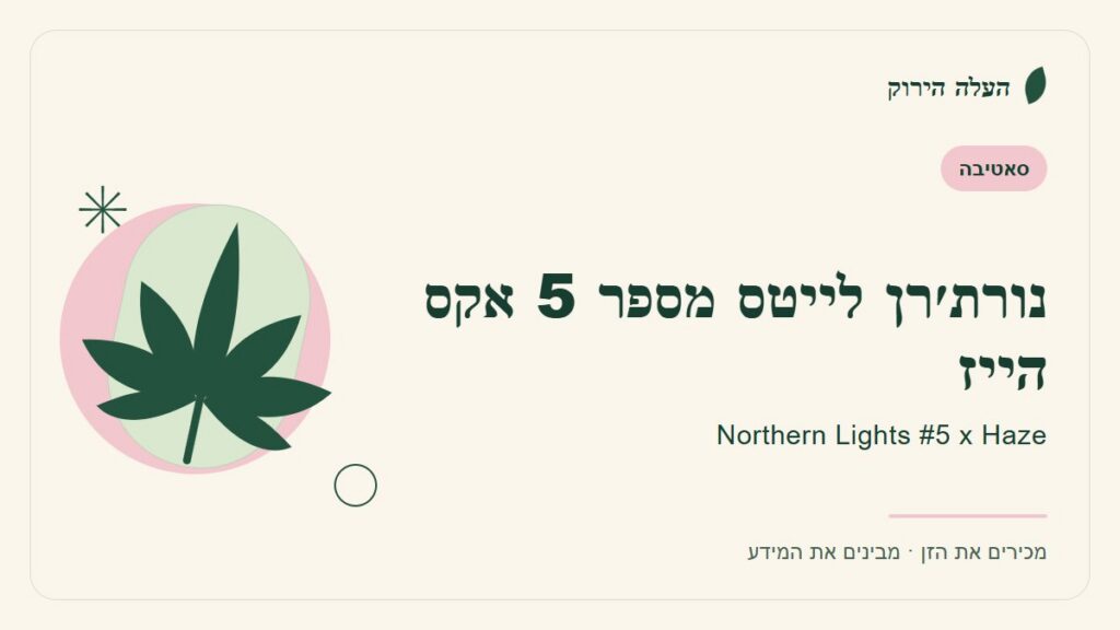 איור לכתבה: נורת׳רן לייטס מספר 5 אקס הייז: מדריך ראשון לשם, לרקע ולתיאור הזן