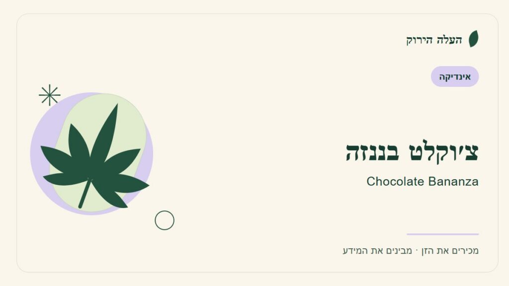 איור לכתבה: צ׳וקלט בננזה: מדריך ראשון לשם, לרקע ולתיאור הזן