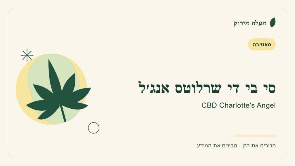 איור לכתבה: סי בי די שרלוטס אנג׳ל: מדריך ראשון לשם, לרקע ולתיאור הזן