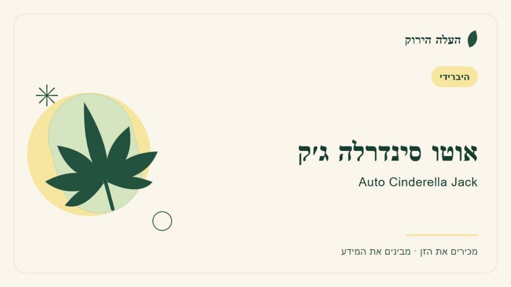 איור לכתבה: אוטו סינדרלה ג׳ק: מדריך ראשון לשם, לרקע ולתיאור הזן