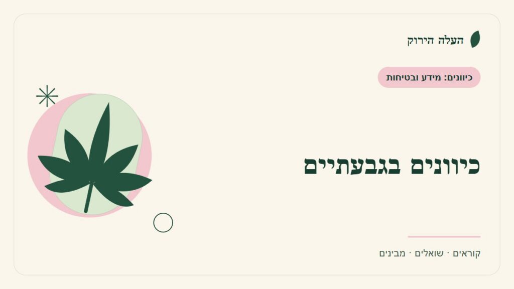 איור לכתבה: כיוונים בגבעתיים: בונים מפת פניות פשוטה