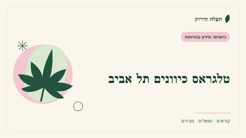 איור לכתבה: טלגראס כיוונים תל אביב: קוראים את ההבטחה המקומית