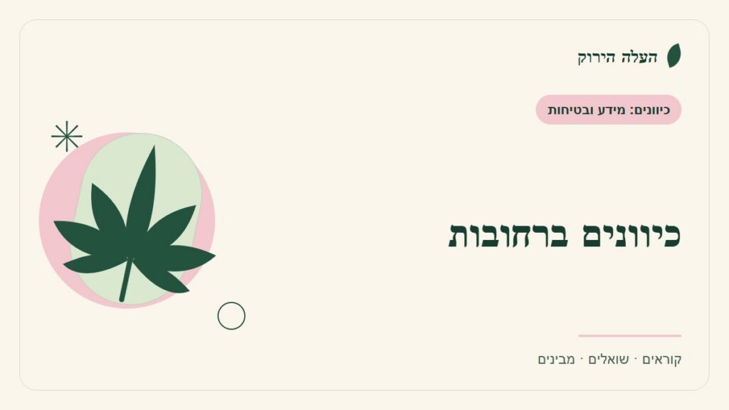איור לכתבה: כיוונים ברחובות: מה חסר בסיפור הצלחה על קנאביס
